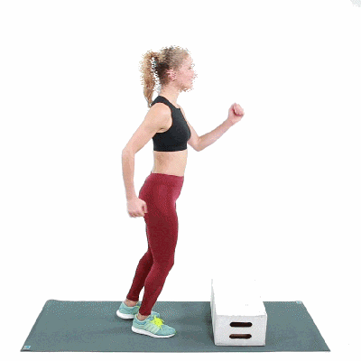 체지방 줄이는 운동,스텝업니라이즈,체지방 분해 다이어트,집에서 하는 유산소 운동