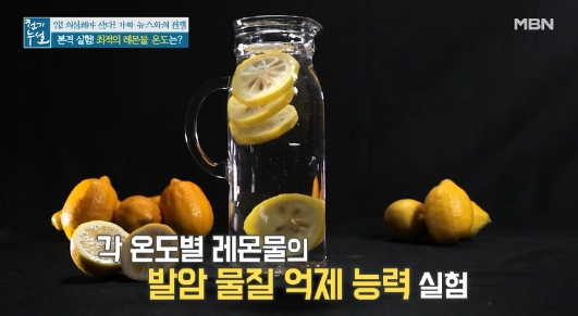 레몬 물 효능