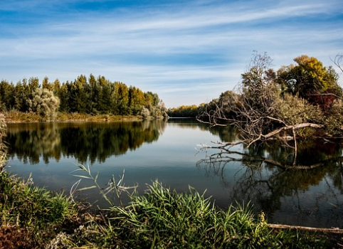 종합소득세 신고대상