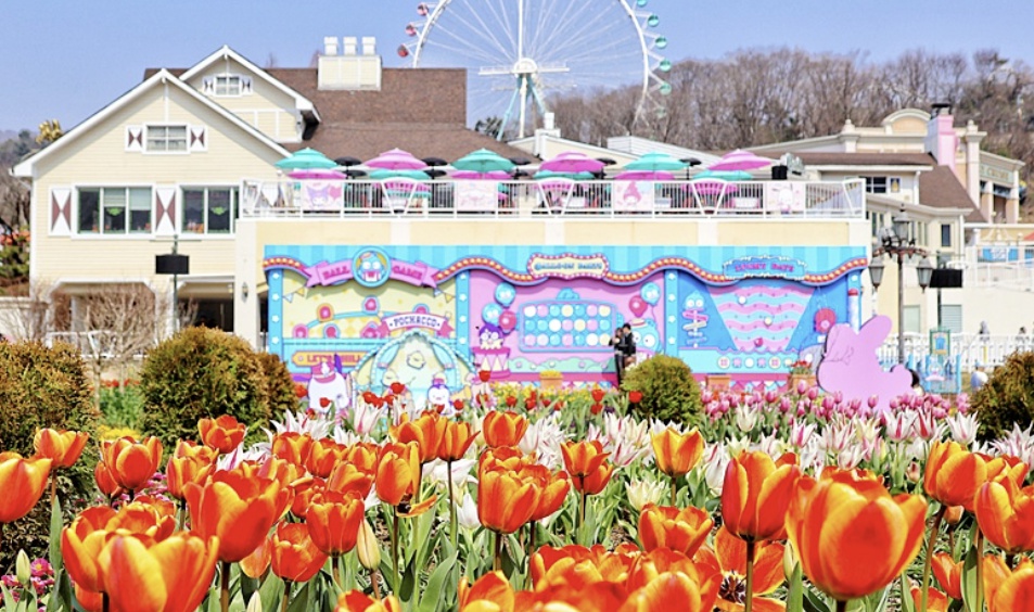 에버랜드 튤립축제