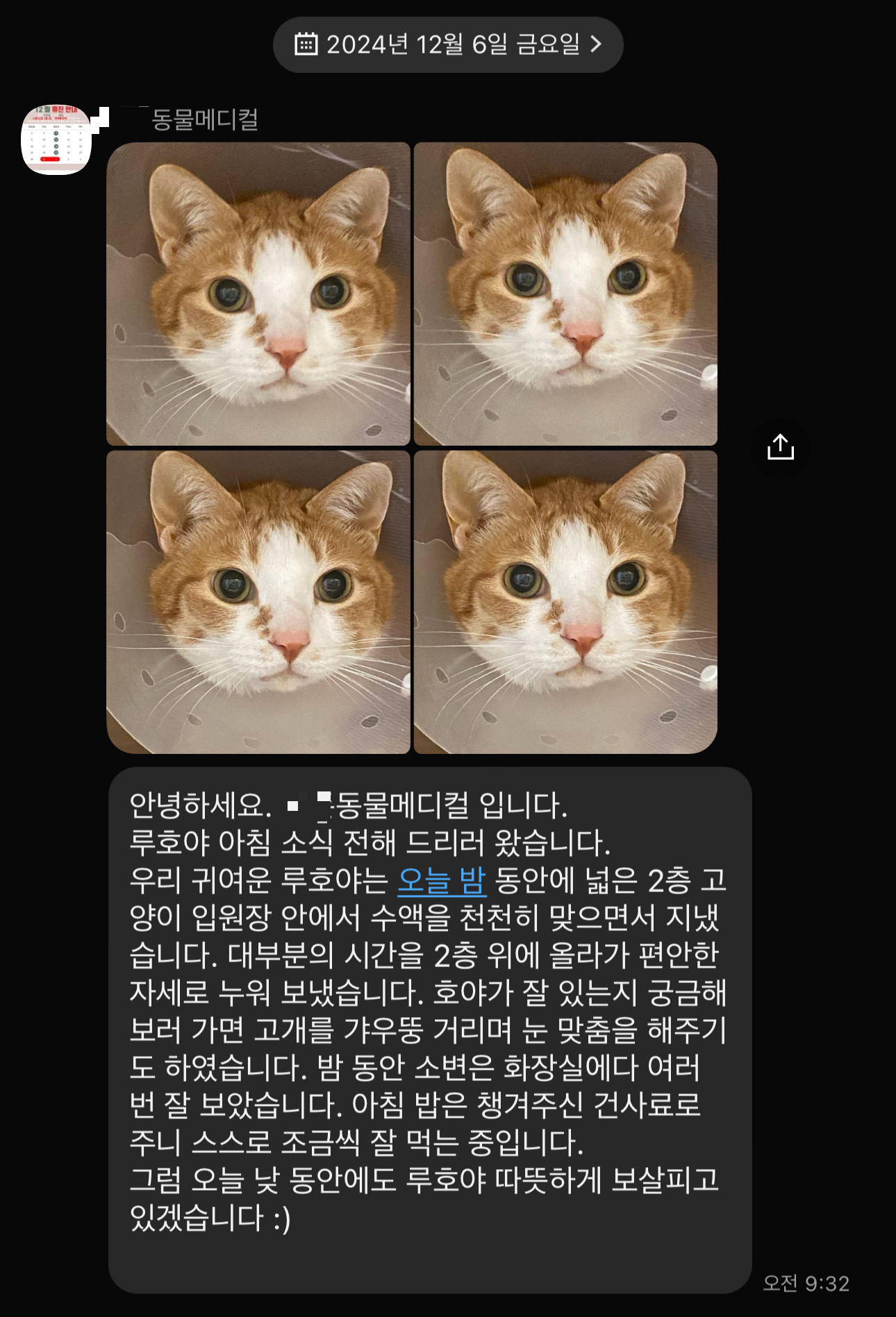 병원에서_온_호야_오전_소식