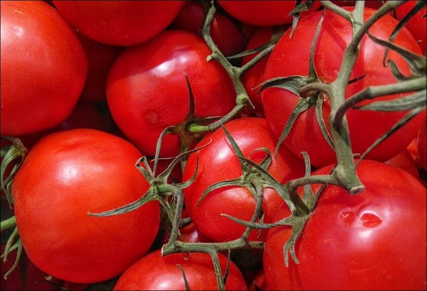 관절염에 좋은 운동 6