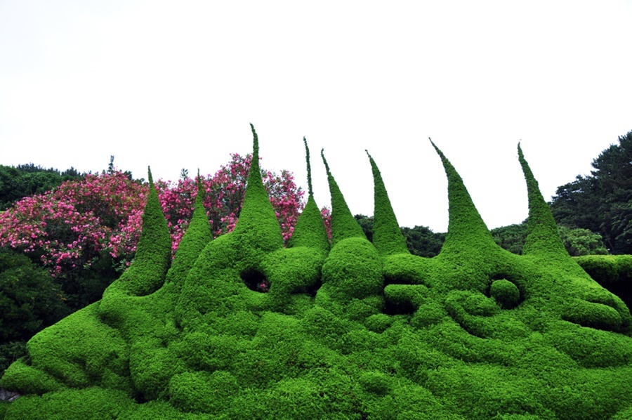 외도 보타니아 나무