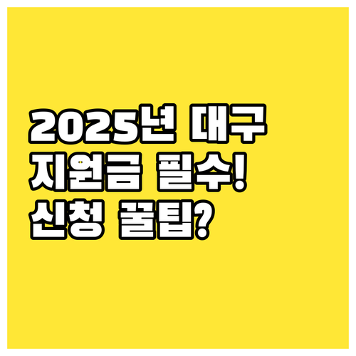 2025년 대구시 위안부 피해 지원금..
