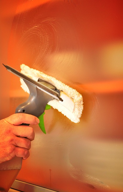 화장실 청소