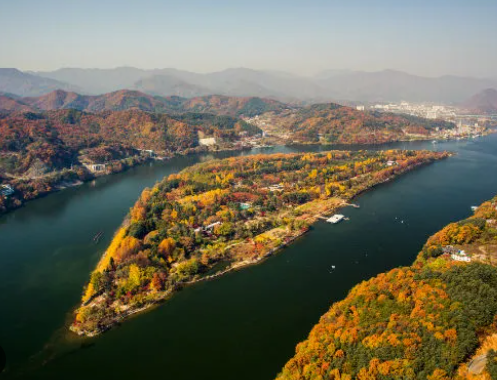 가평 반려동물 문화행사 활짝펫