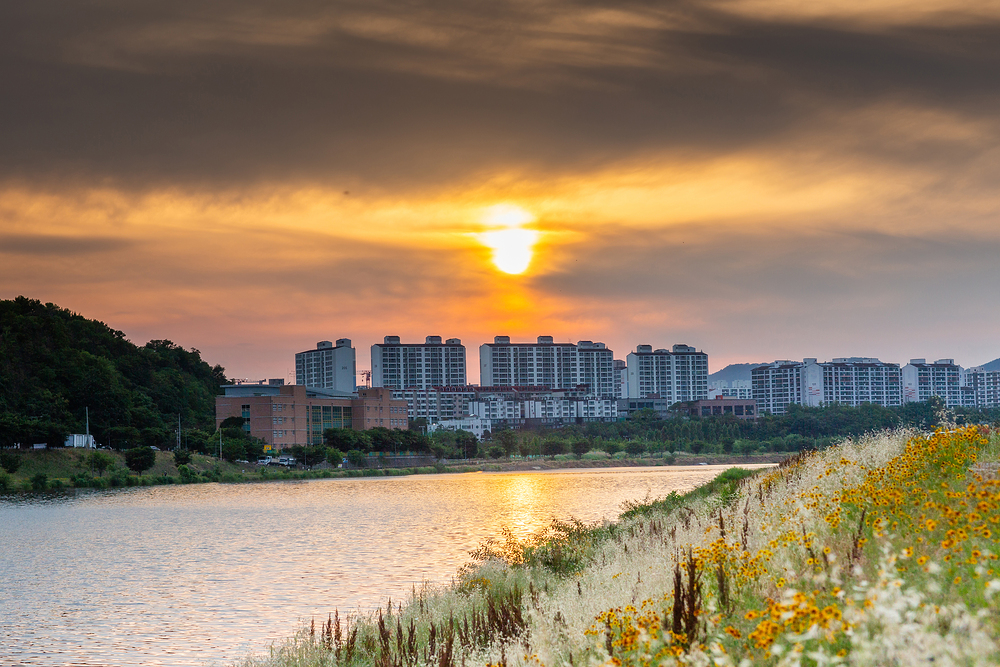 LH 전세자금대출 04