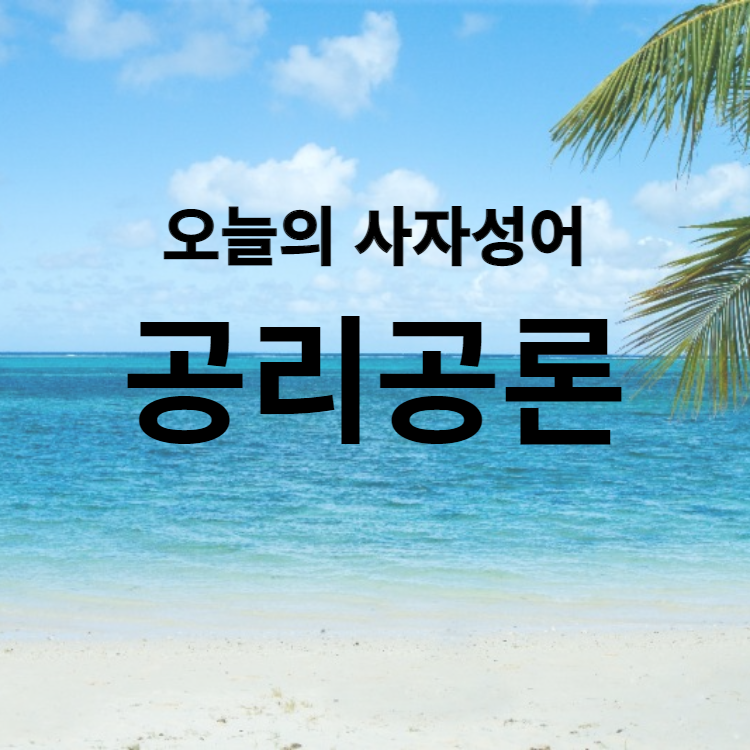 공리공론(空理空論) : 오늘의 사자성어