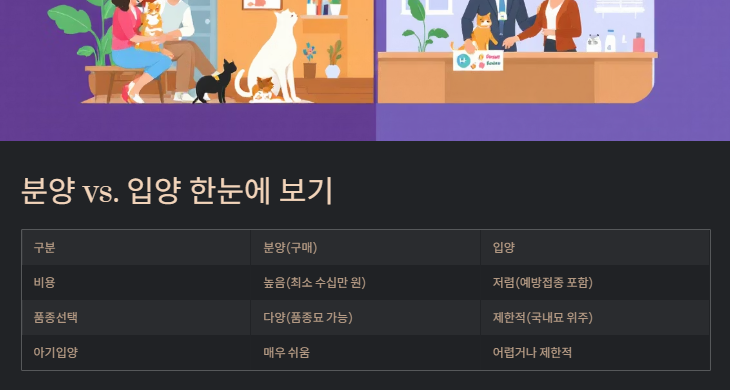 고양이 키우기: 초보집사를 위한 입분양부터 준비물 및 주의사항