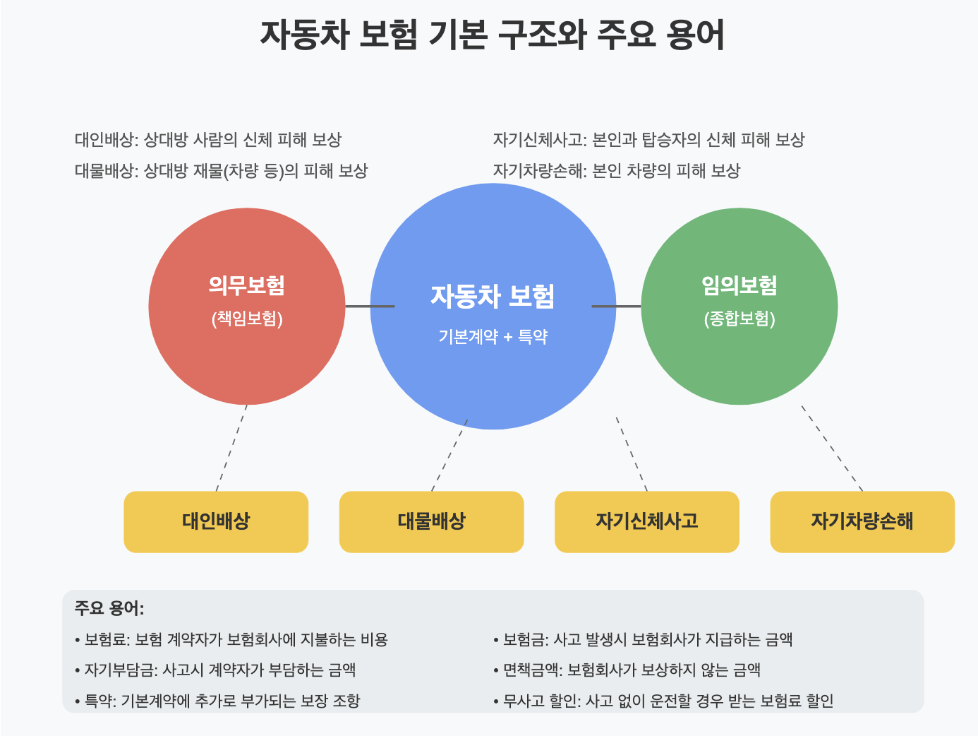 자동차 보험료 비교
