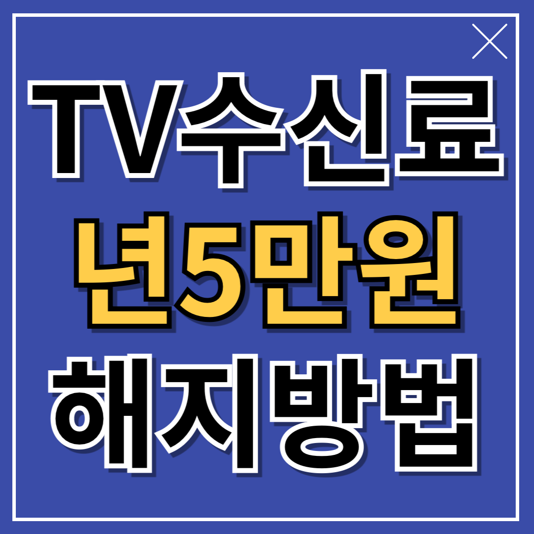 아로스 팝업