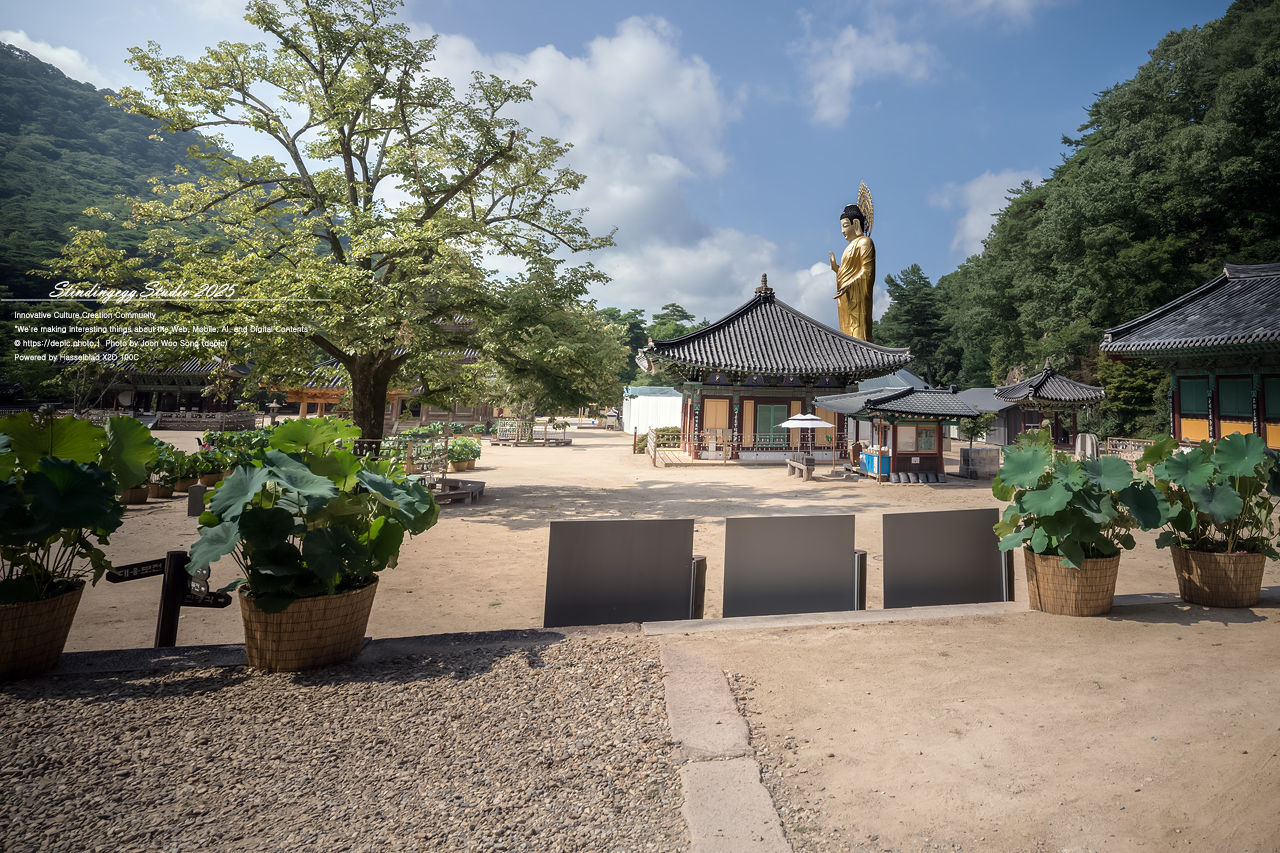 #보은 #속리산 #법주사 #사찰 #불교