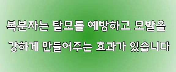 복분자는 탈모를 예방하고 모발을 강하게 만들어주는 효과가 있습니다