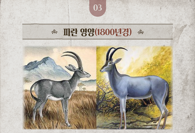 1800년경-멸종한-파란-영양-복원도