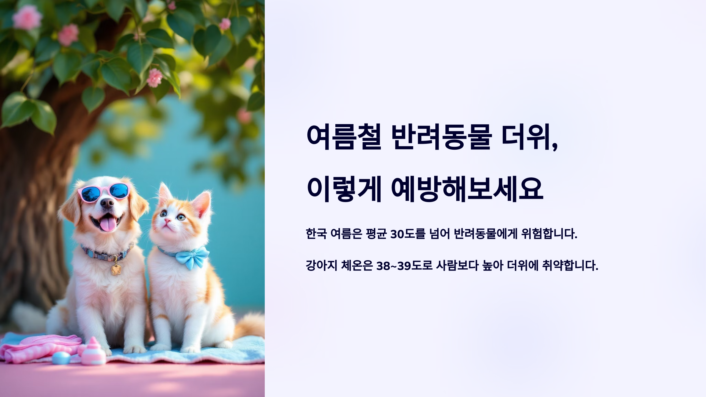여름철 반려동물 더위, 이렇게 예방해보세요