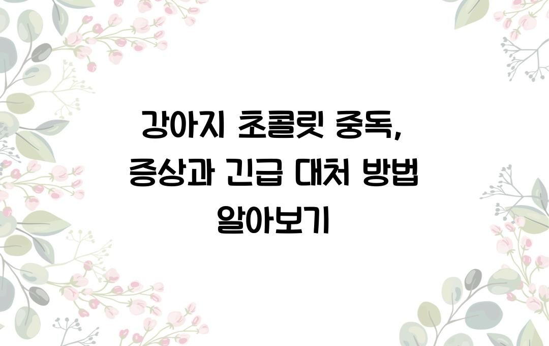 강아지 초콜릿 중독: 증상 및 응급 대처법
