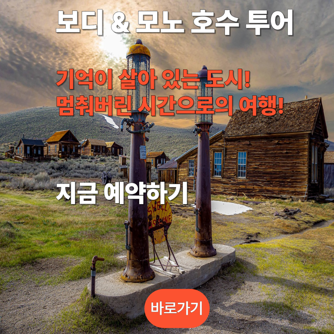 보디 &amp; 모노 호수 투어 예약하기