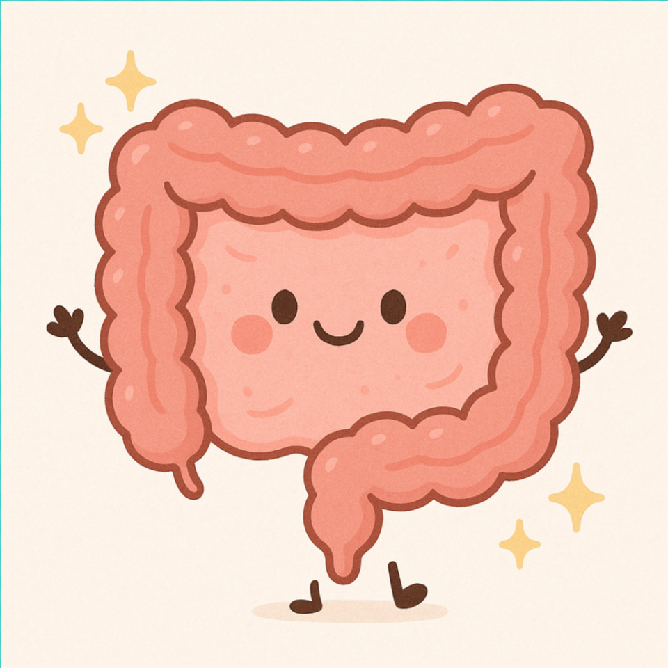 장 건강의 좋은 예