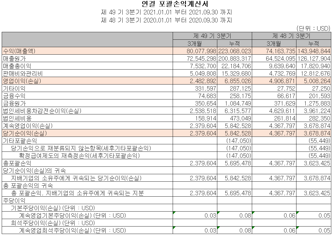 아남전자 손익계산서
