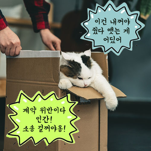 계약위반 청구 요건