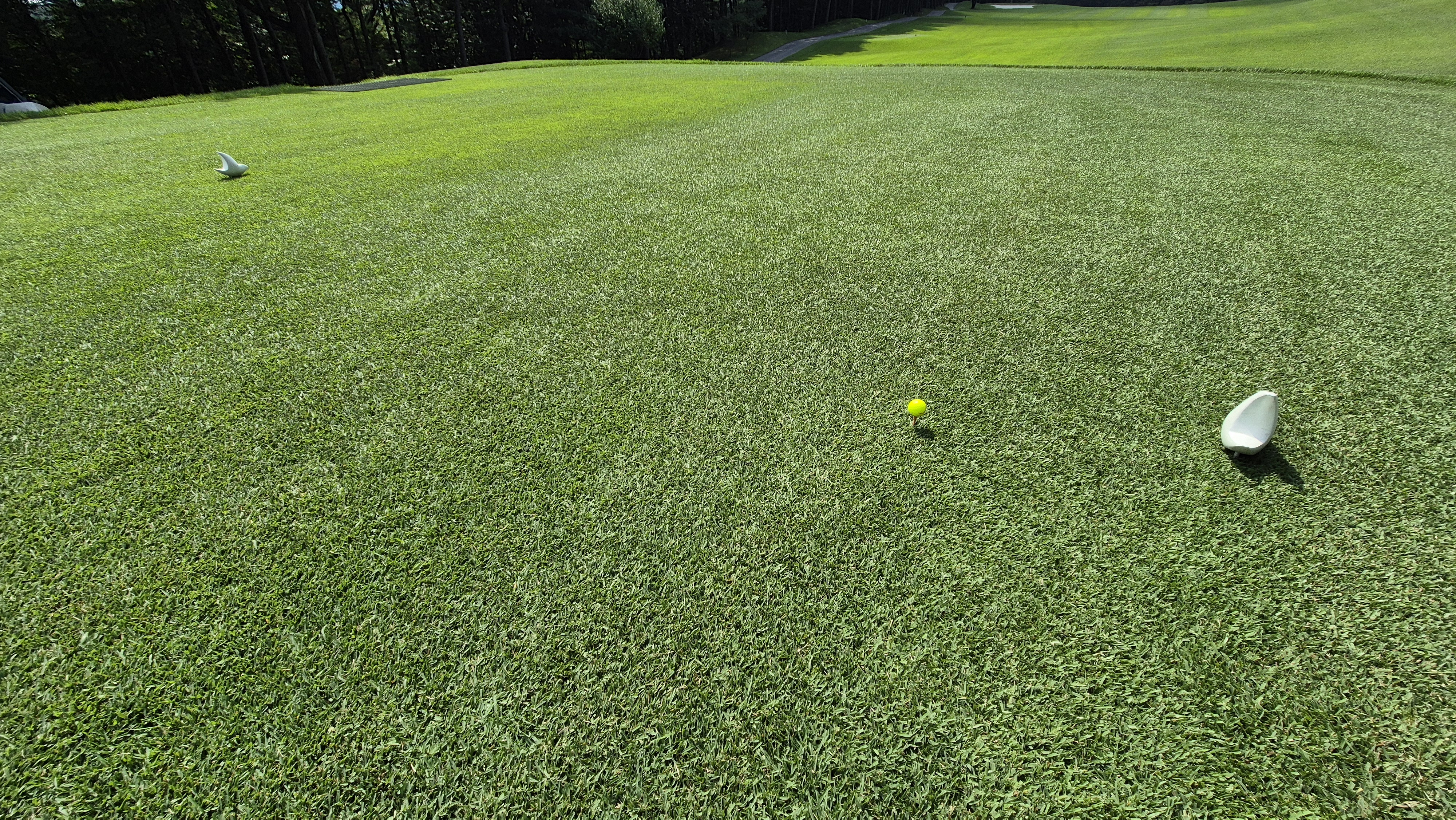 한성cc 오렌지-그린 코스 라운드 후기