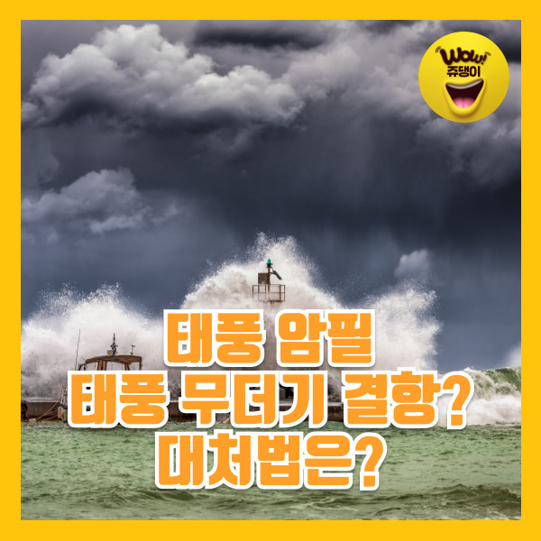 태풍 무더기 결항 태풍암필 하늘길 막는 자연재해로 인한 비행기 결항·지연 시 대처법