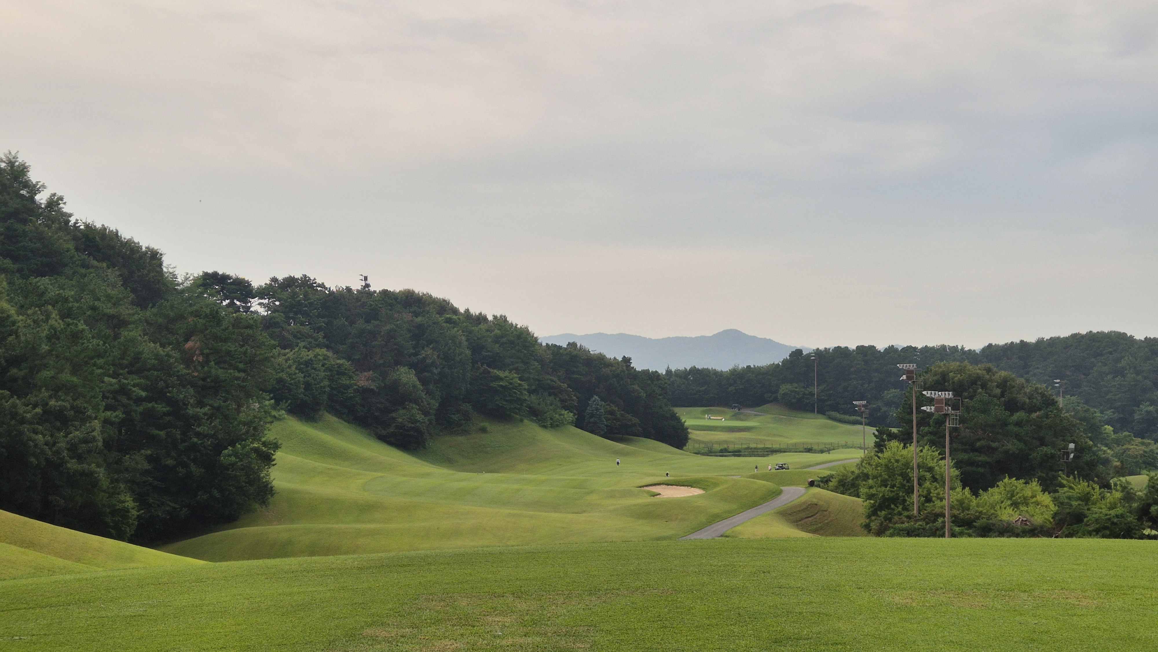 한림용인cc 다이아몬드-사파이어 코스 사진 및 공략 정보