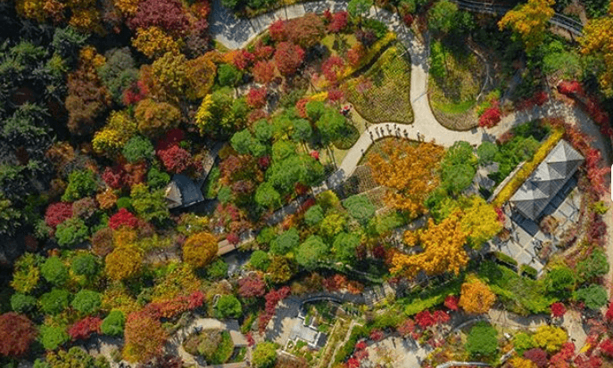 화담숲 방문객을 위한 예약·모노레일·환불 체크리스트.