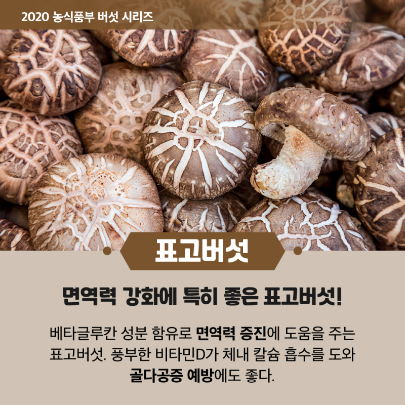 효모 NMN이 들어있는 식품