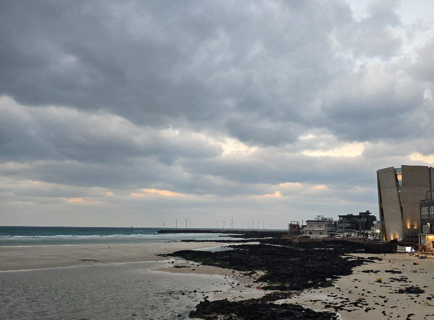 제주 해수욕장 모습