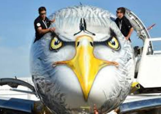 버드 스트라이크 예방조치