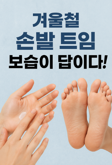 겨울철 손발 트임의 답은 보습.