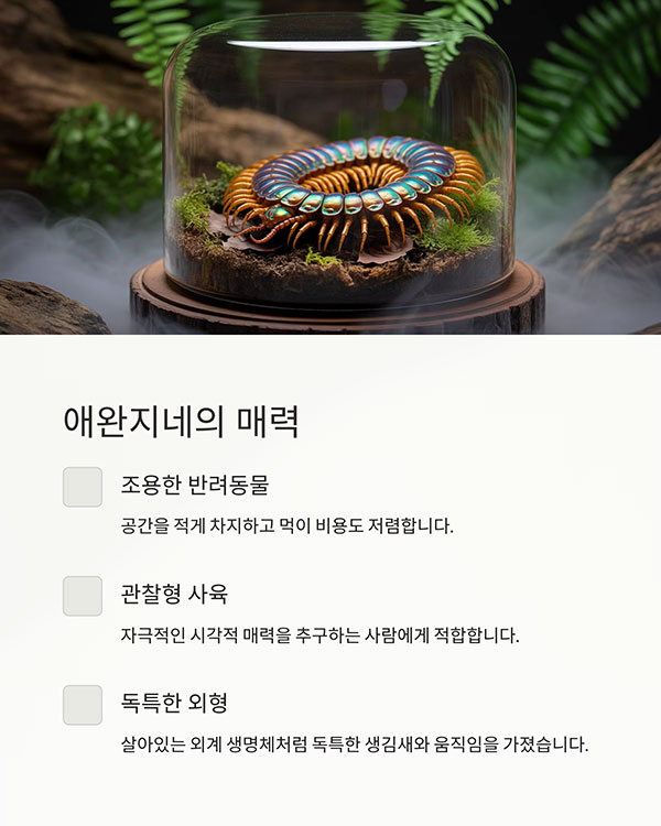 매력은 무엇일까?