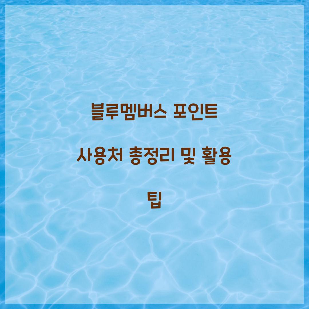 블루멤버스 포인트 사용처