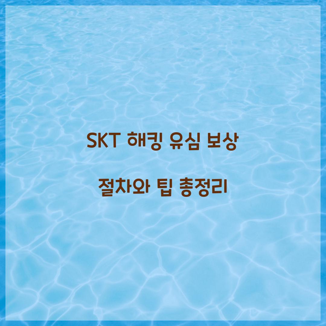 SKT 해킹 유심 보상