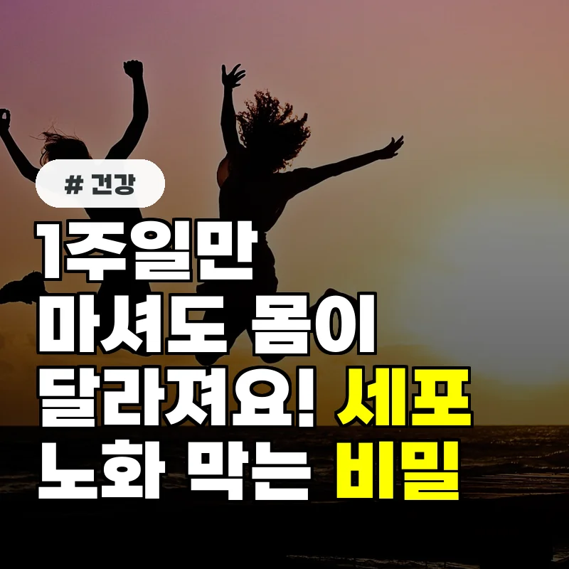 1주일만 마셔도 몸이 달라져요! 세포 노화 막는 이 음료의 비밀