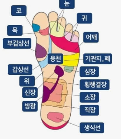 발바닥 파스 효과