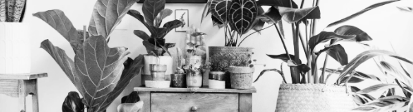 평균 50~60% 적정