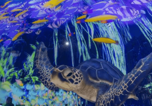 정글미디어파크 경주 실내 가볼만한곳 심해