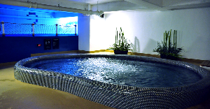 수도권 워터파크