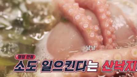 토요일은 밥이 좋아 화성 풍년명절
