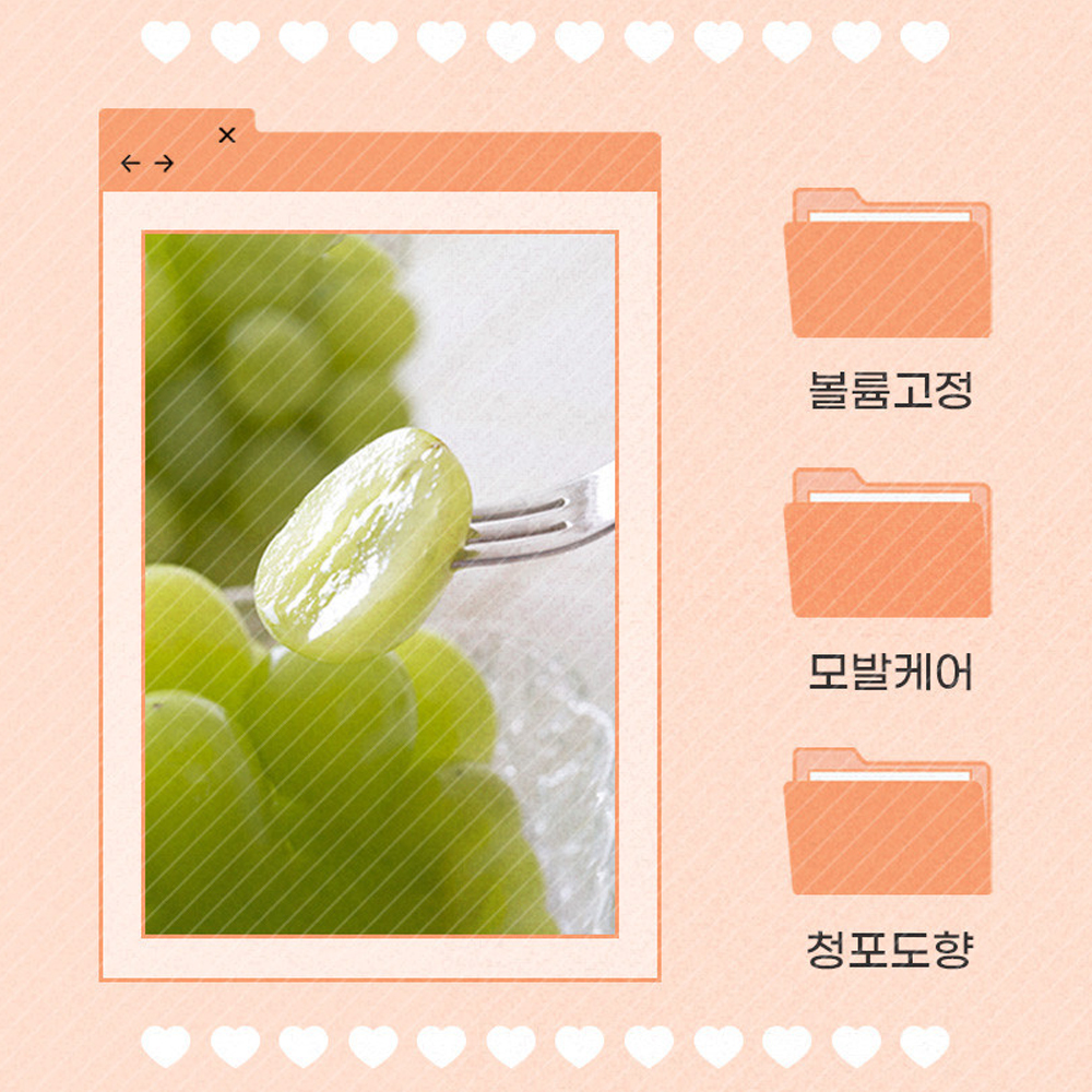잔머리고정헤어픽서