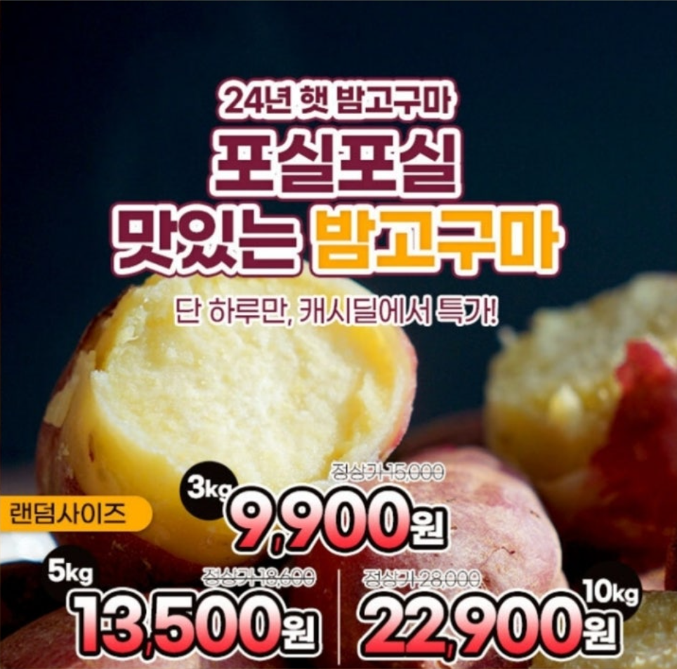 24년 햇고구마 전남 해남 황토밭 햇밤고구마 1~5kg 캐시워크 9월 8일 정답