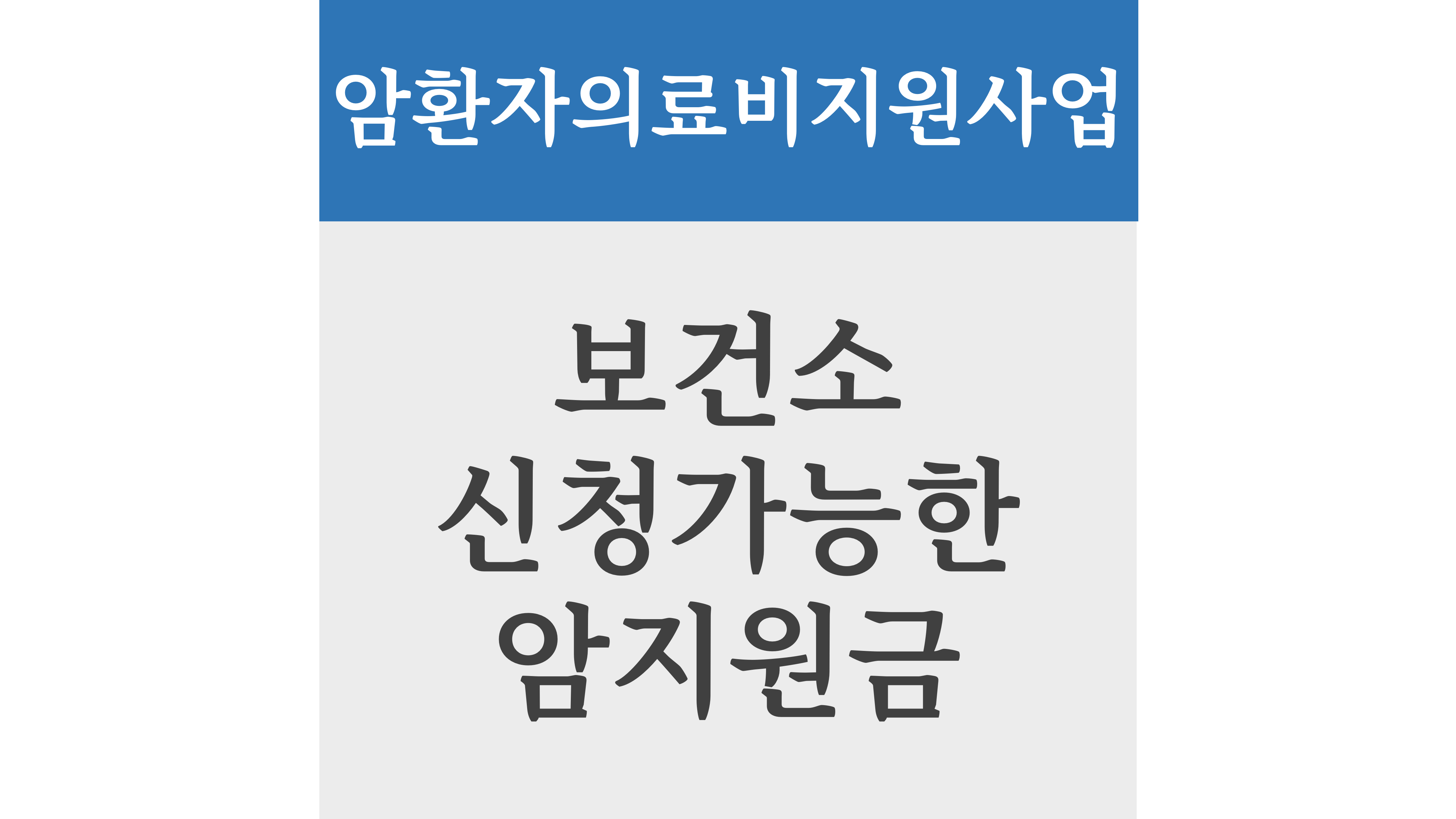 암환자의료비지원사업, 보건소 신청가능한 암지원금