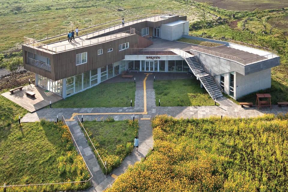 가을 여행지 제주도 은빛 물결 억새 추천 장소