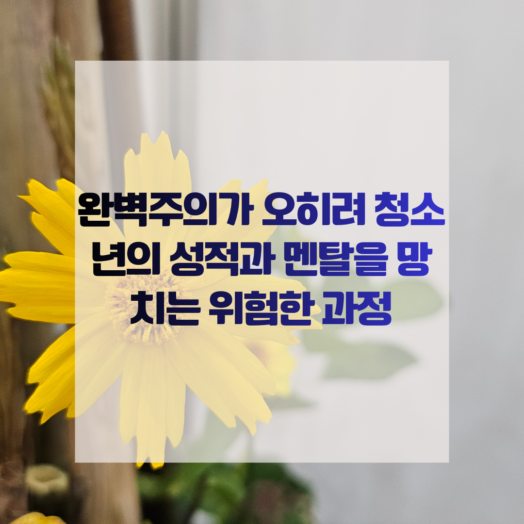 완벽주의가 오히려 청소년의 성적과 멘탈을 망치는 위험한 과정