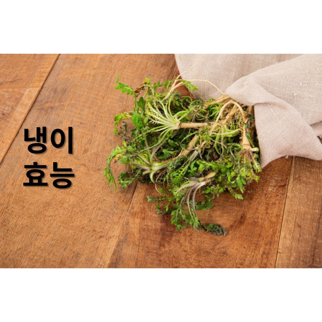 2월 제철음식 냉이 알아보기