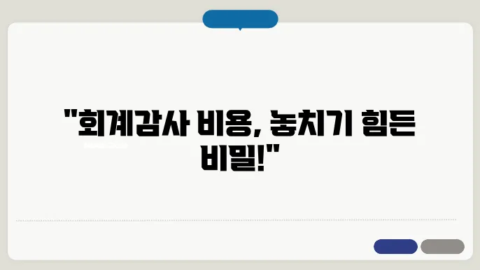 회계감사 기준 보고서 비용 항목