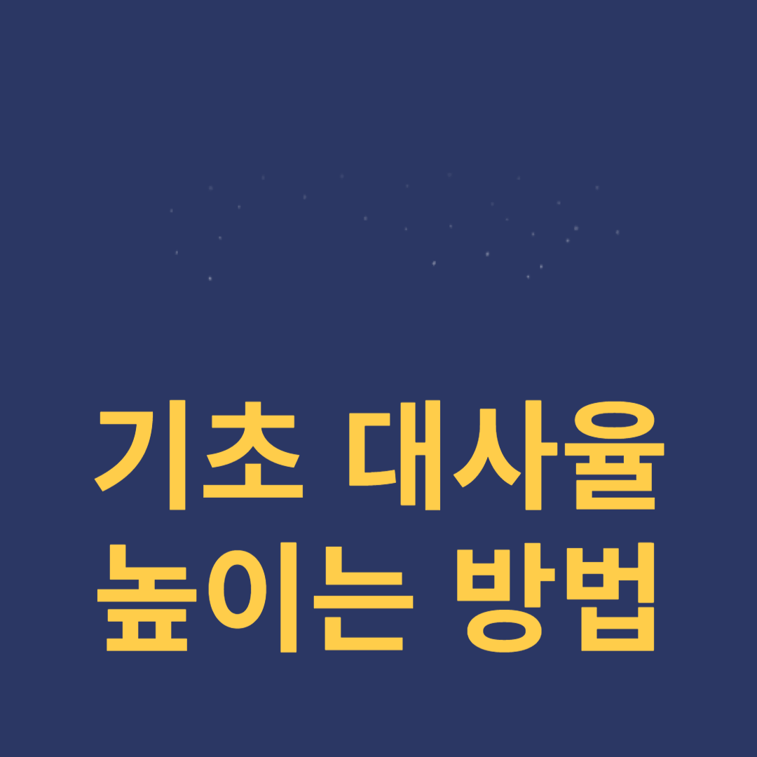 기초대사율 높이는 방법