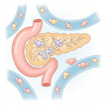 인슐린 주사 올바른 사용법1